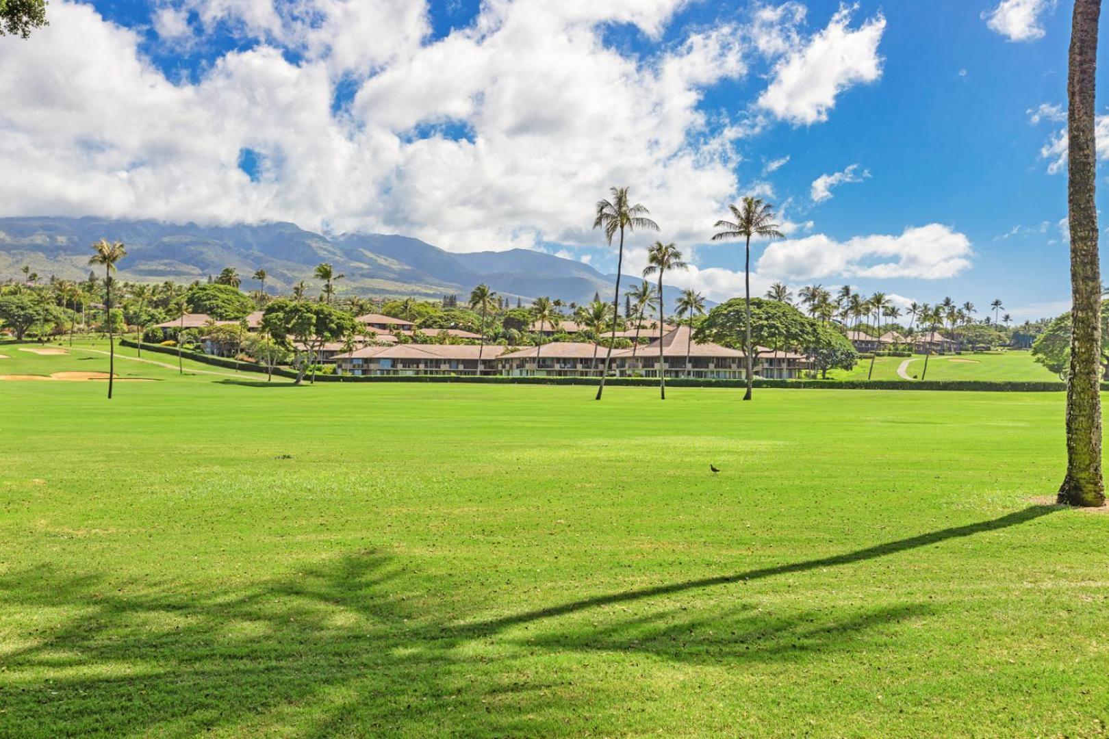 Hotel Maui Eldorado - J-106 - Walk-Out Ocean Views Kahana Exteriér fotografie